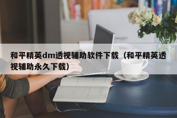 和平精英dm透视辅助软件下载（和平精英透视辅助永久下载）  第1张